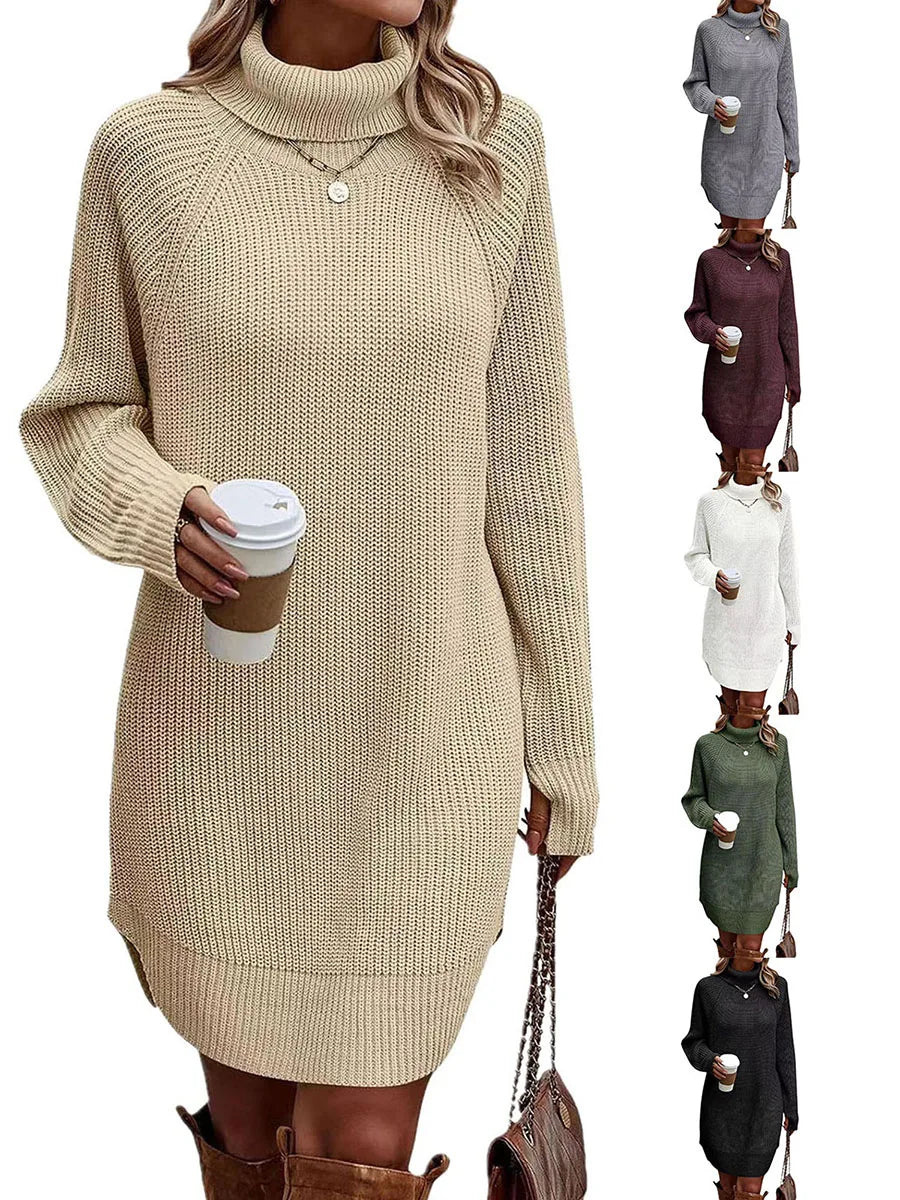 Cozy Turtleneck Knit Dress