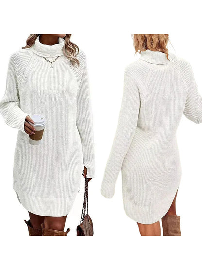 Cozy Turtleneck Knit Dress