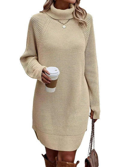 Cozy Turtleneck Knit Dress