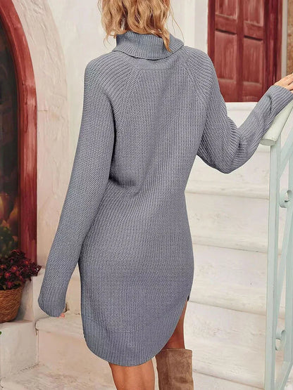 Cozy Turtleneck Knit Dress